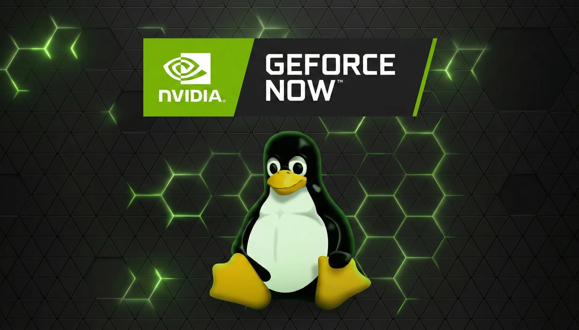 GeForce NOW Linux: NVIDIA's Beta Crushes 1200p Browser Limits